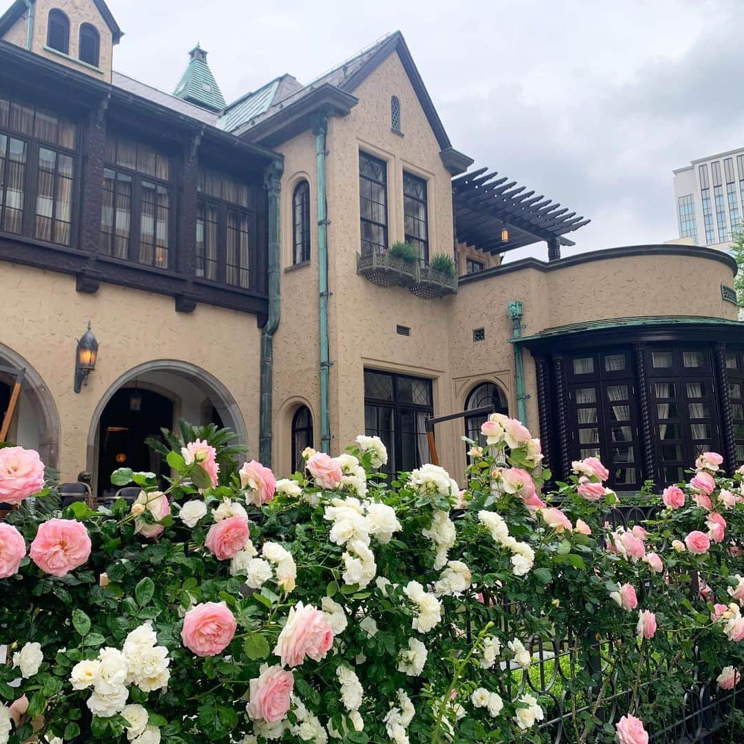牛窪万里子さんのインスタグラム写真 - (牛窪万里子Instagram)「昨年の今頃訪れた赤坂プリンスクラシックハウス。  90種類600株の薔薇が咲き誇る敷地内。  今年も美しく咲いていることでしょうね。  また見に行きたい…。 #赤坂プリンスクラシックハウス  #薔薇 #バラ #rose  #バラが見頃  #美しい景色  #美しいものが好き  #美しいものが好きな人と繋がりたい  @tokyo_gardenterrace」5月19日 0時11分 - mariko_ushikubo