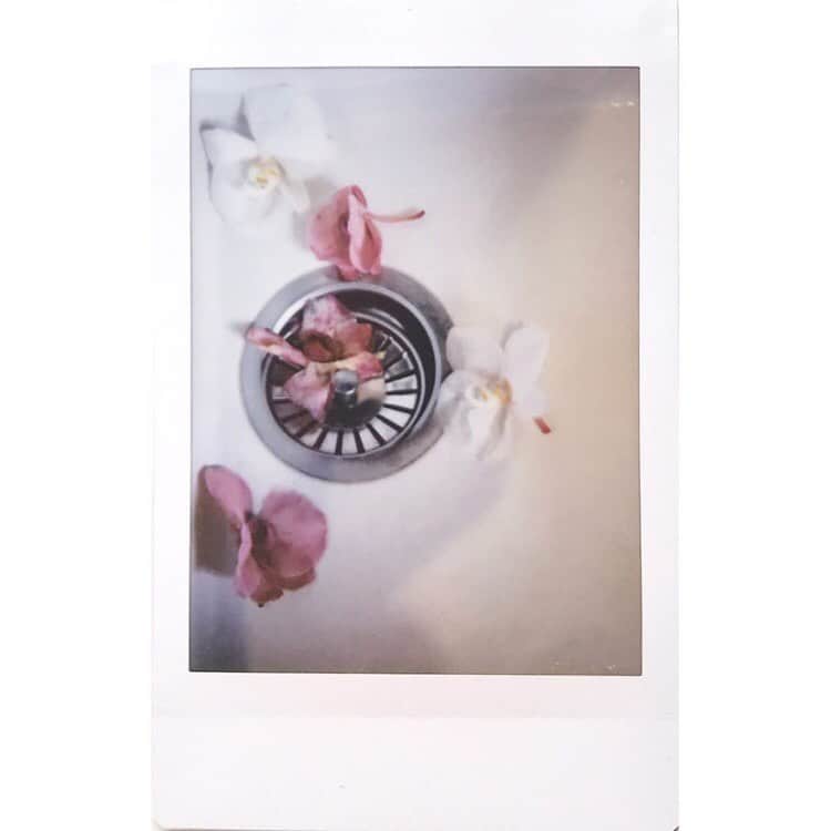 Fujifilm Instax North Americaさんのインスタグラム写真 - (Fujifilm Instax North AmericaInstagram)「@milicadc shared her #give10 inspiration with these gorgeous 🌺 shots. What keeps you inspired? Share up to 10 instax photos, new or old and your #give10 story just might be featured! How? Simply post your inspiration to your feed, use #give10 and tag us @fujifilm_instax_northamerica」5月19日 2時05分 - fujifilm_instax_northamerica