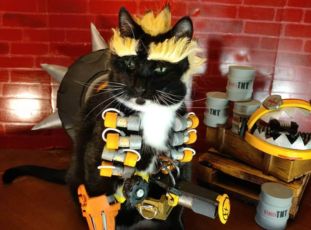 猫コスプレさんのインスタグラム写真 - (猫コスプレInstagram)「"It's a purrfect day for some mew-hem." ~Junkcat  #Overwatch #Junkrat . . . . . . . . . #catcosplay #cosplay #cosplayer #cat #catcostume #catsinclothes #catsofinstagram #catstagram #petclothes #PetCostume #overwatchcosplay #overwatchfanart #junkratcosplay #blizzard #blizzardcosplay #blizzardfanart」5月19日 2時07分 - cat_cosplay