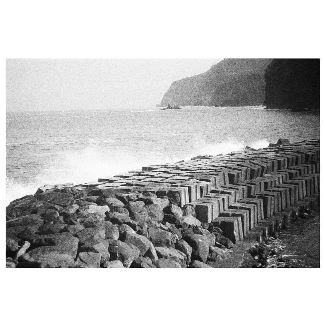 マルコス・フレイタスさんのインスタグラム写真 - (マルコス・フレイタスInstagram)「Madeira with #kodak400tx」5月19日 2時20分 - marcosfreitaspt