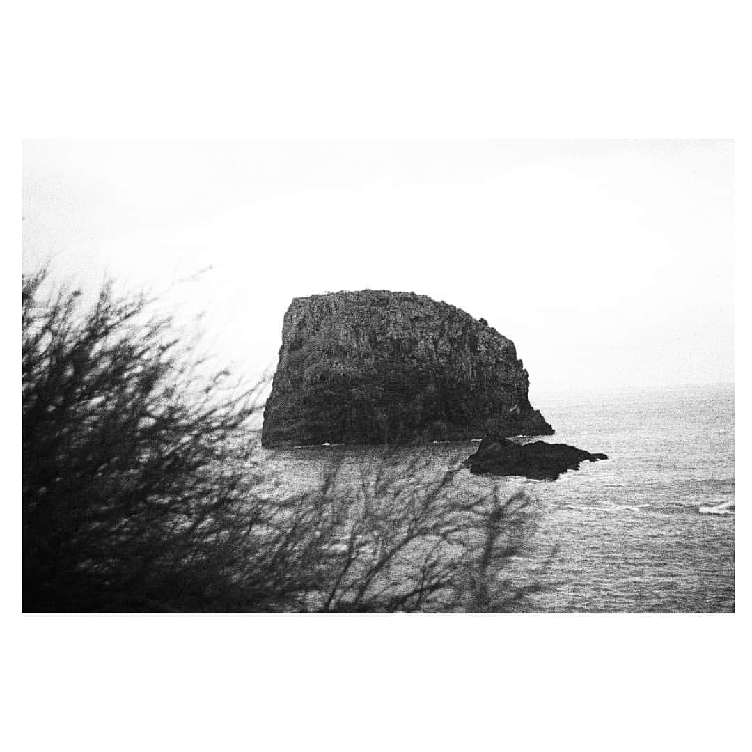 マルコス・フレイタスのインスタグラム：「Madeira with #kodak400tx」
