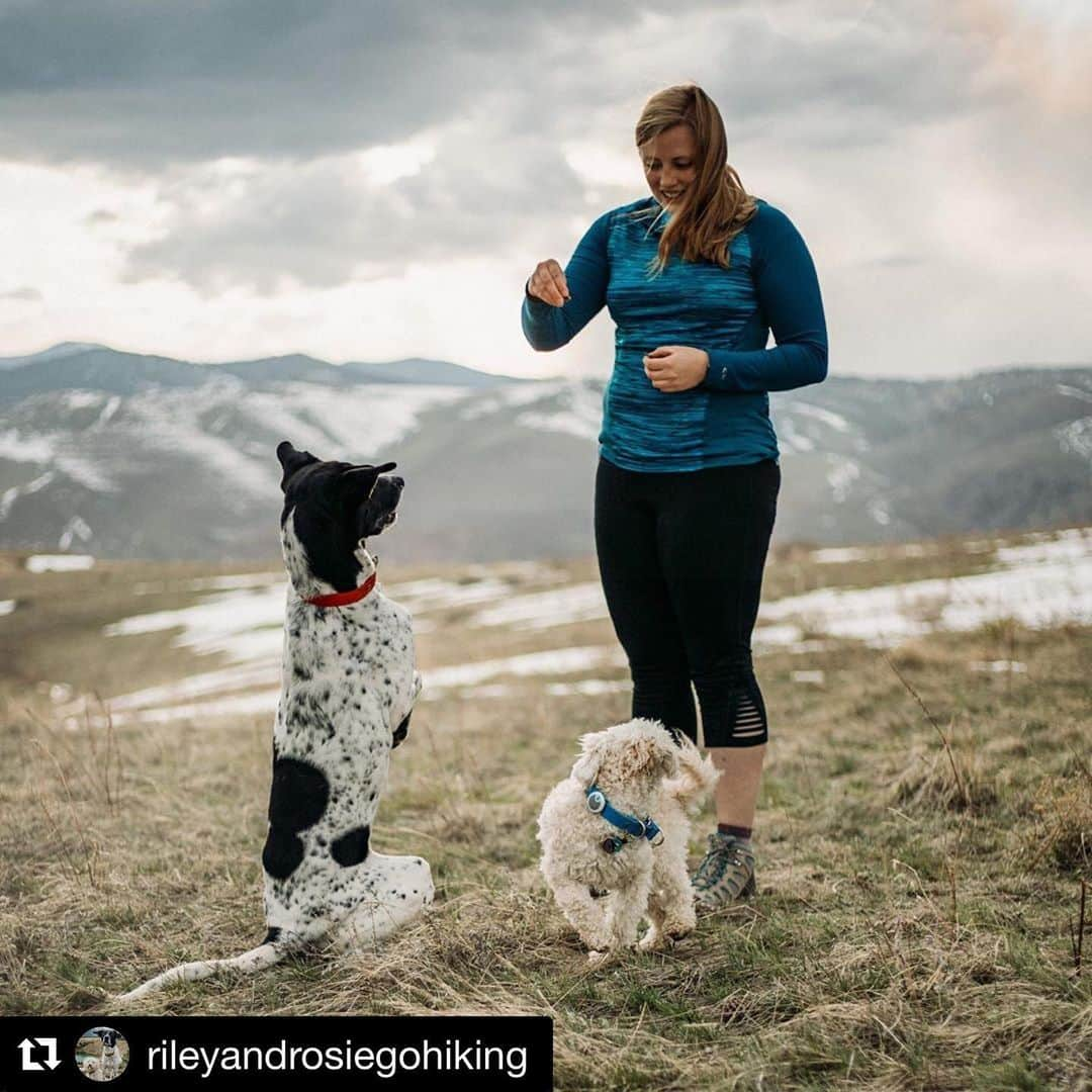 オボズさんのインスタグラム写真 - (オボズInstagram)「For every #ruffmonday, we wish you more days filled with love and friendship, lessons learned, and lots of time outside with your favorite trail companions. ——————- #Repost @rileyandrosiegohiking ・・・ These girls have taught me patience, consistency, and hard work pay off. Not everything has been easy, and it’s still not always easy, but I’ll continue to teach them exactly how to act in my world so that they continue to teach me lessons I’ll use long after they’re gone. Thank you girls, for being one of my greatest joys😘 📸 @loganwilsonphotography . . . #hikingwithdogs #hikingadventures #hikingdogsofinstagram #hikecolorado #girlswhohike #dogsthathike #adventurewithdogs #gofurther #gohike #hikingculture #choosemountains #winterhiking #adventureisoutthere #welivetoexplore #adventureculture #stayandwander #natureaddict #hikingbuddy #ilovehiking #oboztruist #outdoorsy #neverstopexploring #neverstopdreaming #loveearth #wildernessexplorer #lifewelltravelled #qalodogs #ourlife」5月19日 2時28分 - obozfootwear