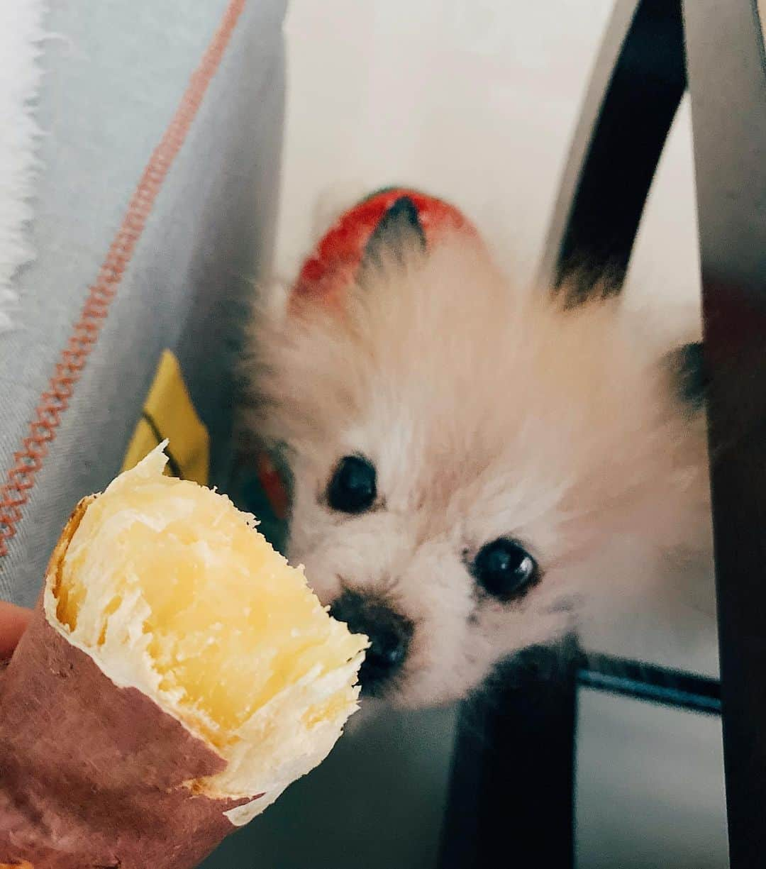 r_oseさんのインスタグラム写真 - (r_oseInstagram)「Yam day 🍠〰️」5月19日 14時33分 - r_ose