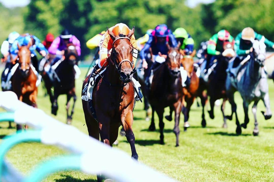 ミカエル・ミシェルさんのインスタグラム写真 - (ミカエル・ミシェルInstagram)「Chantilly ✨ ‼️35th Winners 🏆👊💥‼️ Athena Star🐎 @NCaullery  Thx to whole the team 👏🏼 @JRAVAN_info @nar_keiba @TheNYRA @Umabi_Official @umatoku_hochi @tospo_prores @GulfstreamPark @LongBallToNoOne  #jockeys #athletes @AtTheRaces @GBRacing @hkjcracingsports」5月19日 6時08分 - mickaelle_michel_officiel