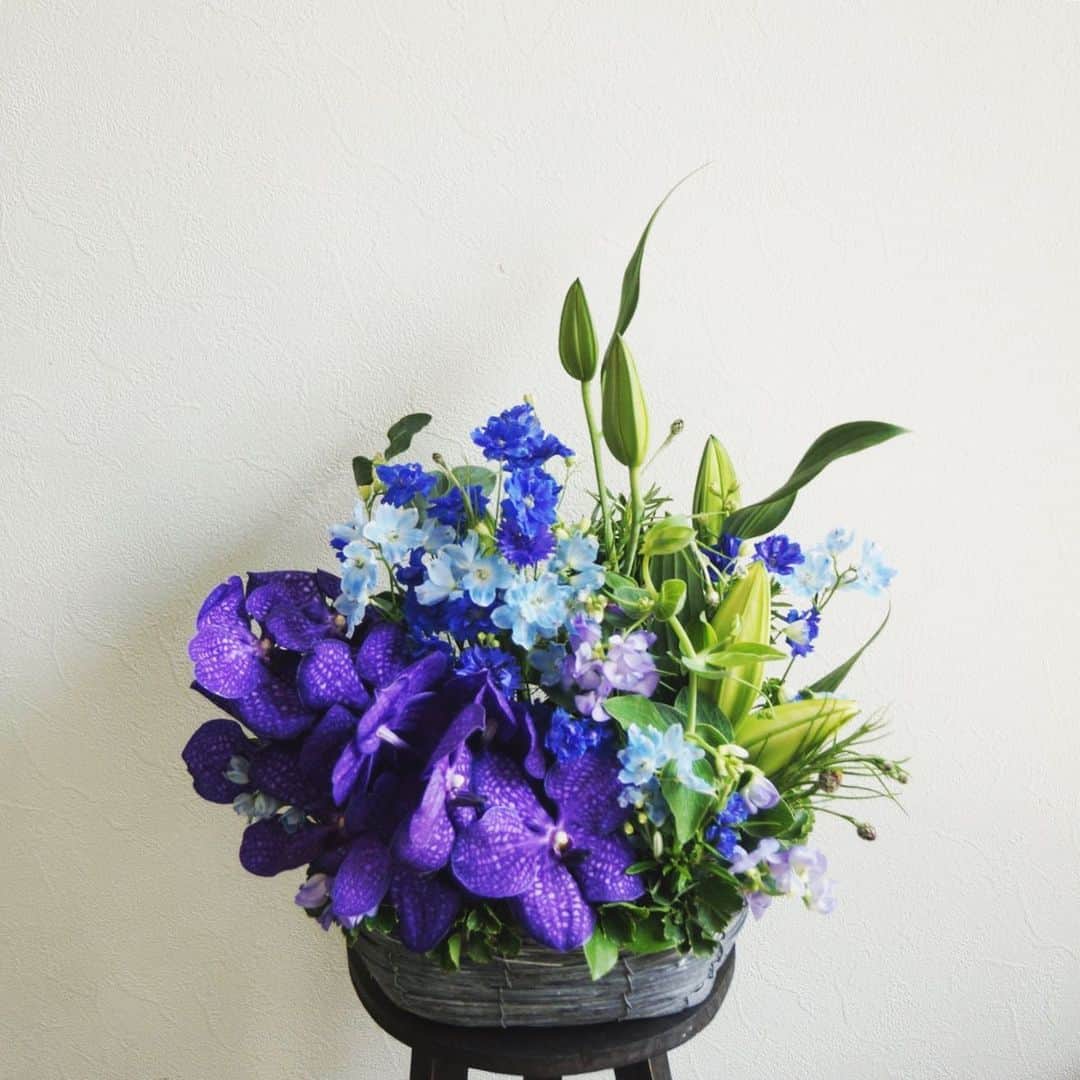 MILLE ECLAT.のグルメインスタ