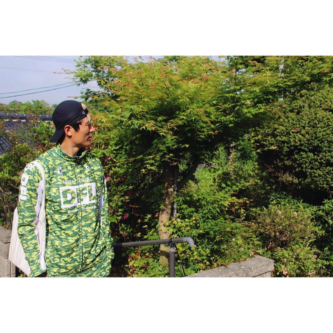 北野貴之さんのインスタグラム写真 - (北野貴之Instagram)「新緑。夏に近づき生い茂る新緑はエネルギーを感じる。」5月19日 7時01分 - takashi_kitano