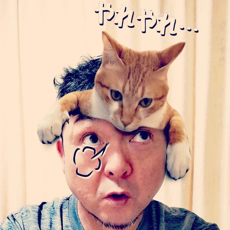 松本隆博のインスタグラム：「。 みなおは～ 長く自粛して時間の 使い方わからなくたって 、そこに仕事が数件同時に 依頼が来て免疫力ないから 1杯1杯になります…^^; テレワークでは頼みにくく 県外は会いにも行けず、、 なかなかどう乗り越えようか と思案中、、、(^-^) ま嬉しい悲鳴ニャーなんだ けどさ。 今日は今からラジオ収録 ニャー(^_^)(^_^)」