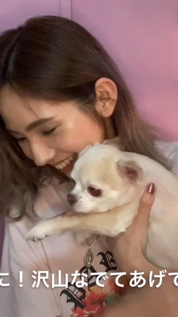 Kahonnaのインスタグラム：「． ヘアケア&巻き髪&アレンジです🤣 10パターンのヘアアレンジ🤣💚 ． 🐶わんこが途中で来ますが これはノリじゃなくて本当に１日何回でも できるだけ多く撫でてあげてください😋 犬は寂しがりやです！！ 去年亡くなってしまった14年間いた 優のこと、何度なでてても もっとなでてあげればよかったと 何度も後悔したので！。。 家で家族と大切な時間を🥰💝 ． 最初の馴染ます顔がヤバイですがすいません。。 #HAIR#hairstyle#stayhome」