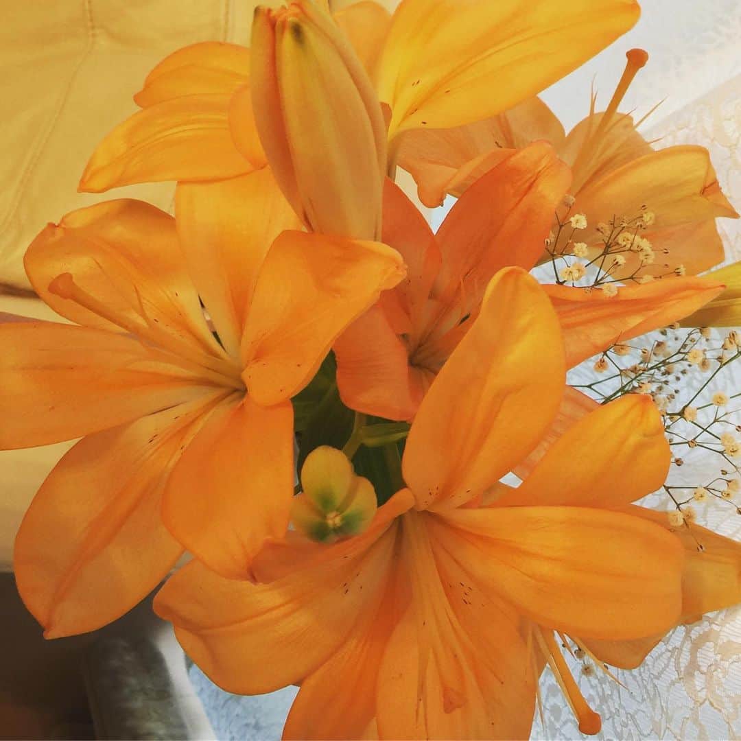 香西咲さんのインスタグラム写真 - (香西咲Instagram)「#おはようございます☔  私が先週心も荒んでどうしようもない状況の中、オレンジの百合だけは9輪も力強く咲いてくれました💐 あと蕾が2輪。 299円で買った花束がこんなに幸せを与えてくれました😢✨ 本当にありがとうございます🌺 #生花大好き❤」5月19日 8時23分 - saki.kouzai