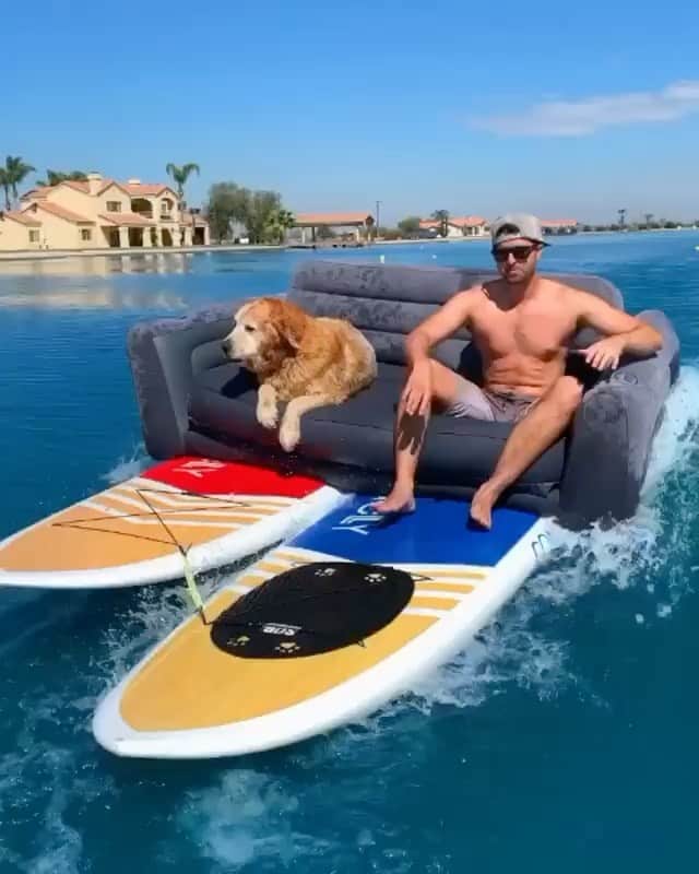 DogsOf Instagramのインスタグラム：「“Hey dude...pass the remote” writes @stylwire  #dogsofinstagram」