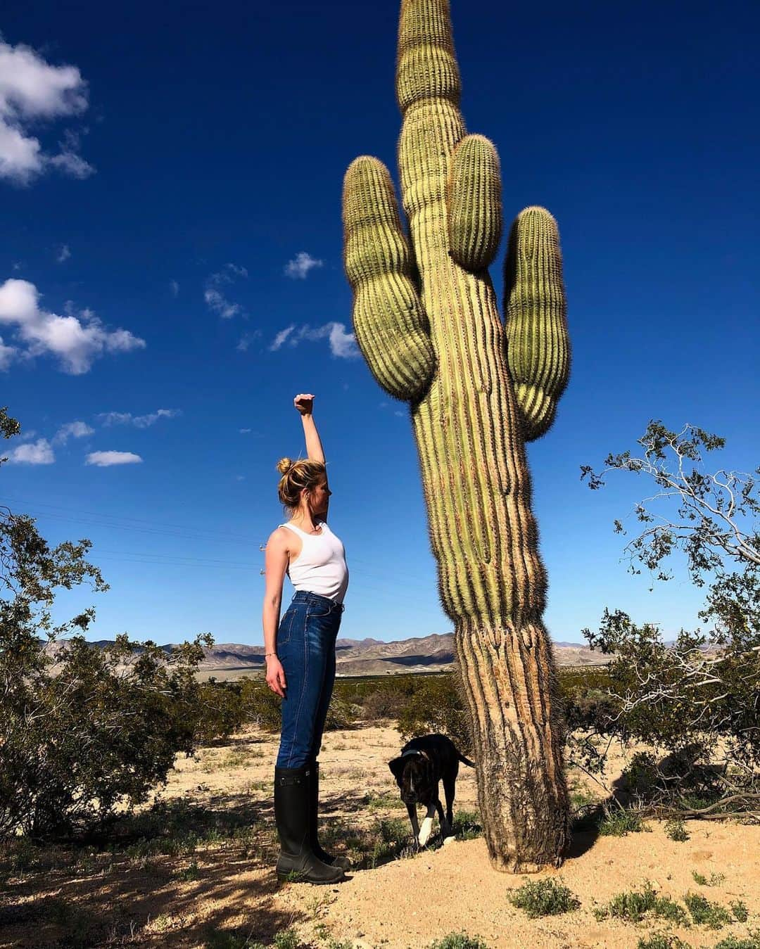 アンバー・ハードさんのインスタグラム写真 - (アンバー・ハードInstagram)「Desert dwellers」5月19日 8時54分 - amberheard