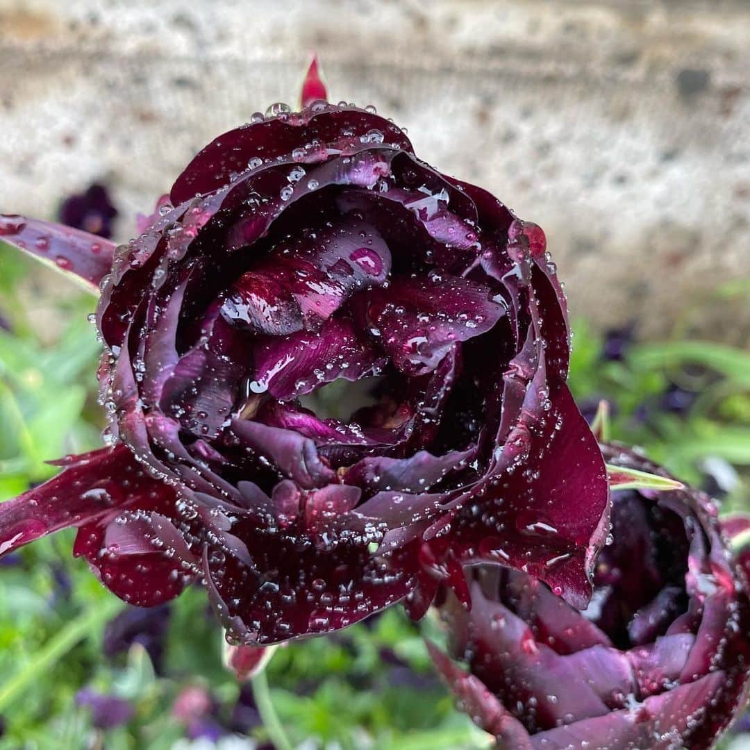 魔女菅原のグルメインスタ