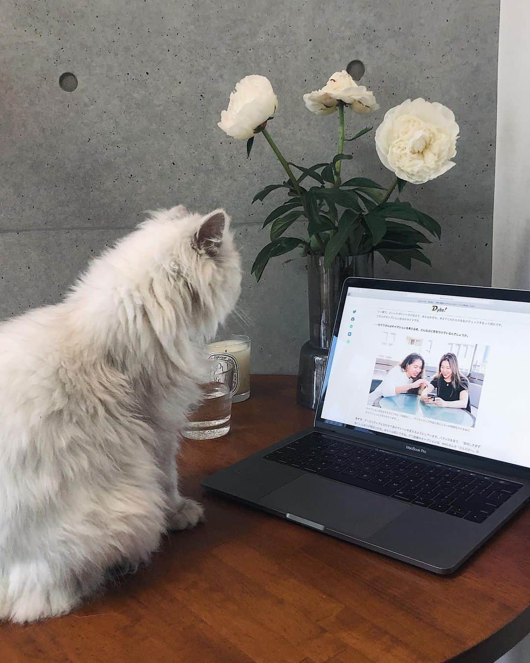 のインスタグラム：「取材記事！今回はセイラも初登場！どんな仕事してるのか(特に松屋のインスタ運用！)仕事に対しての想い 等語ってますので、みてね〜🤪💻 リンクはストーリーとプロフィールにしばらく貼っとく！ ㅤ Dybe!さん、素敵な記事ありがとうございます！ 今日もギャルは部屋から経済まわしまぁ〜〜す✌️」