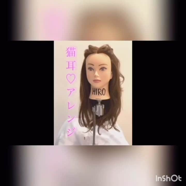 Dcolorのインスタグラム