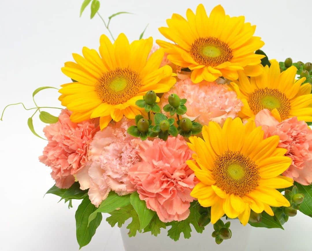 のインスタグラム：「今年の父の日は、6月21(日)です。青山花茂では、父の日フラワーギフトのご注文受付を開始しています。 プロフィールのリンクURLからオンラインショップへアクセス、父の日特集バナーからラインナップをご覧いただけます。 ・ 今年も男性に喜んでいただけるデザインのアレンジメントや、明るい黄色が印象的なヒマワリを使ったお品物をご用意しました。普段なかなか伝えられない感謝の気持ちを、年に一度のこの機会にフラワーギフトに託して伝えてみてはいかがでしょう。 皆さまのご注文、お待ちしています。 - - - #aoyamahanamo #flowers #flowershop #florist #instaflower #flowergram #flowerstagram #flowerlovers #花 #花屋 #生花店 #フラワー #ザ花部 #花のある暮らし #花のある生活 #青山花茂 #fathersday #father #父の日 #父の日プレゼント #父の日ギフト #フラワーギフト #プレゼント #アレンジメント #flowergift #flowerarrangement」