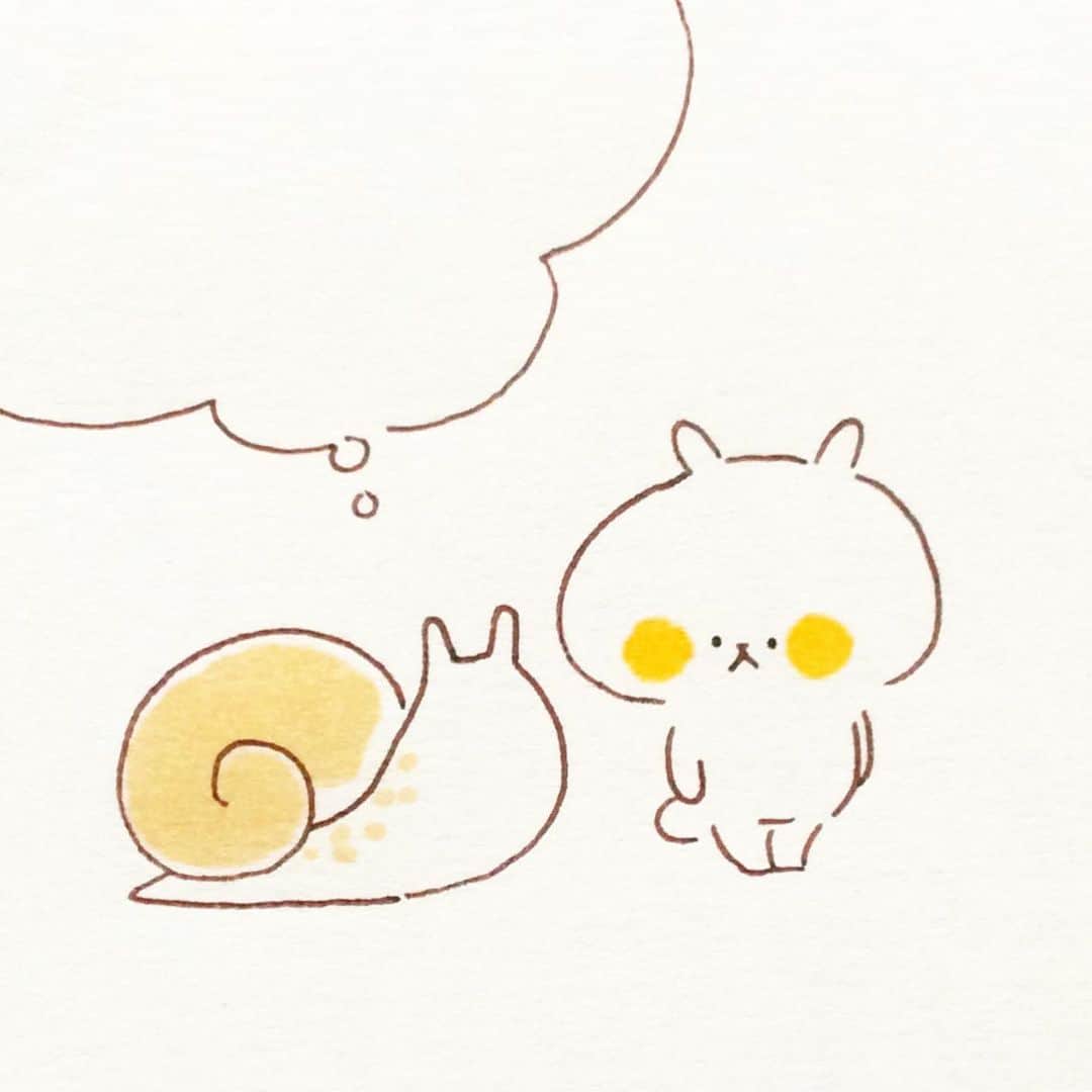 カモのインスタグラム