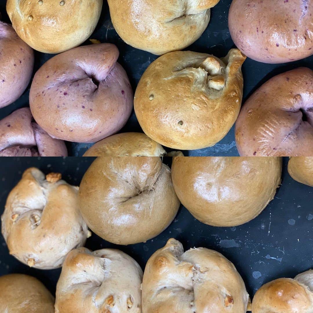 魔女菅原のグルメインスタ