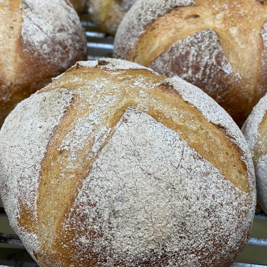 魔女菅原のグルメインスタ