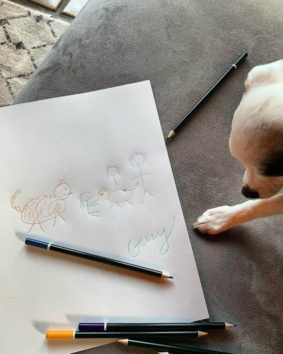 アレクサンドラ・ダダリオさんのインスタグラム写真 - (アレクサンドラ・ダダリオInstagram)「The puppy draws」5月19日 11時11分 - alexandradaddario