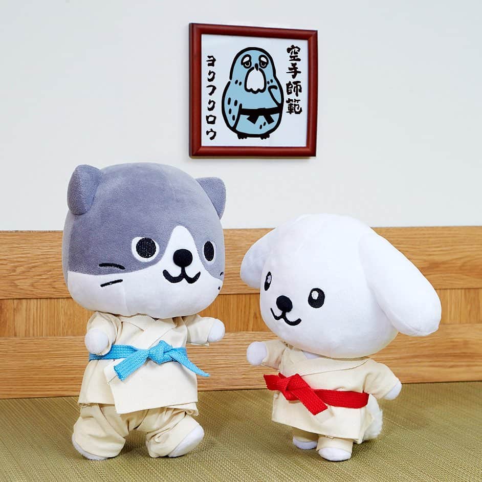 ダスキン ダス犬【公式】のインスタグラム：「えいっ!やあっ!おっす! It’s Japanese KARATE!  #シミーと空手対決 #かけ声だけは一人前 #押忍」