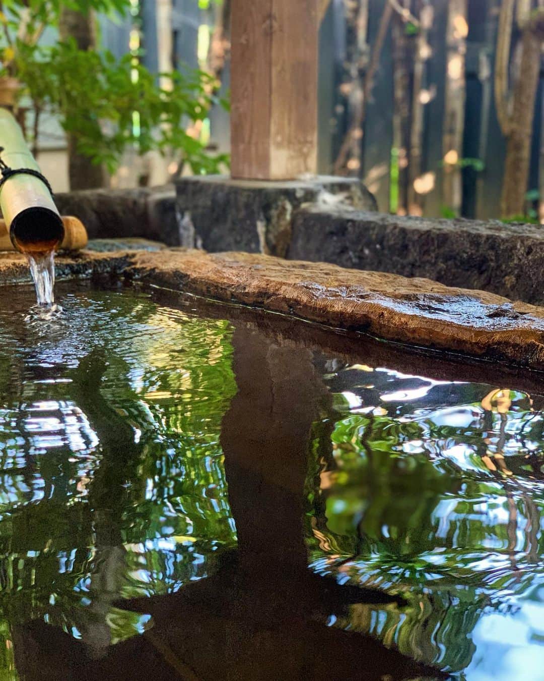 吉田夏海さんのインスタグラム写真 - (吉田夏海Instagram)「いつかの熊本温泉巡りの旅♨️﻿ ﻿ 可愛い看板猫ちゃんもいましたなぁ🐈💕﻿ ﻿ #japan﻿ #onsen﻿ #trip﻿ #kumamoto」5月19日 11時15分 - natsumiiiiiiiiiii