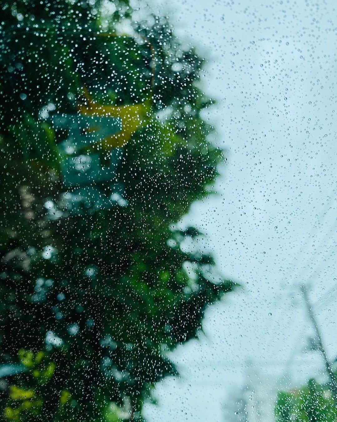 木村拓哉さんのインスタグラム写真 - (木村拓哉Instagram)「﻿ ﻿ 「今日から雨模様が続きそうですねぇ〜。﻿ 気温も大分下がってます。皆さん体調管理にはくれぐれも気を付けて下さいね！﻿ ﻿ STAY HOME!﻿ STAY SAFE‼︎」﻿ ﻿ 拓哉﻿ #木村拓哉#TakuyaKimura」5月19日 12時00分 - takuya.kimura_tak