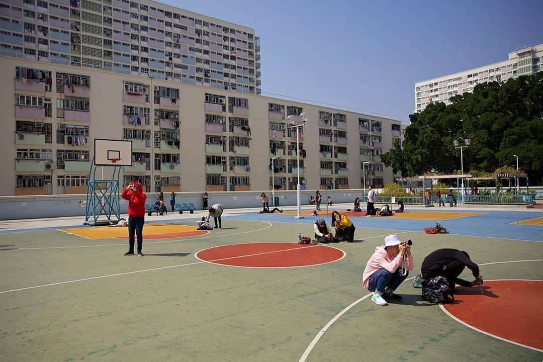 National Geographic Travelさんのインスタグラム写真 - (National Geographic TravelInstagram)「Photo by Matt Borowick @mborowick | A favorite photography spot for many when visiting Hong Kong is the Choi Hung Estate. Flanked by tall buildings with muted colors on all sides with a basketball court in the middle, it attracts tourists from all over the world. Follow @mborowick for more images like this. #hongkong #choihungestate #travel #urban #explore」5月19日 13時09分 - natgeotravel