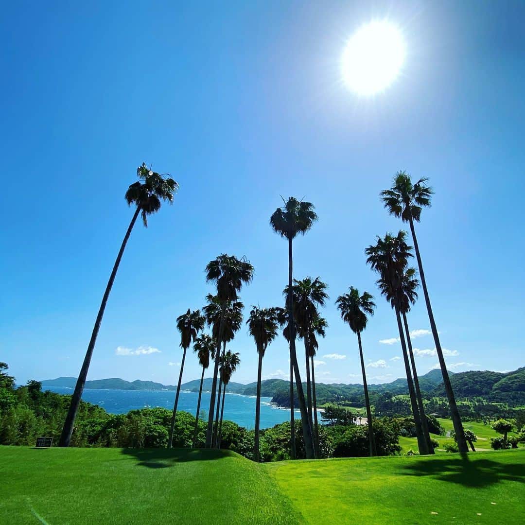 TOGGYのグルメインスタ