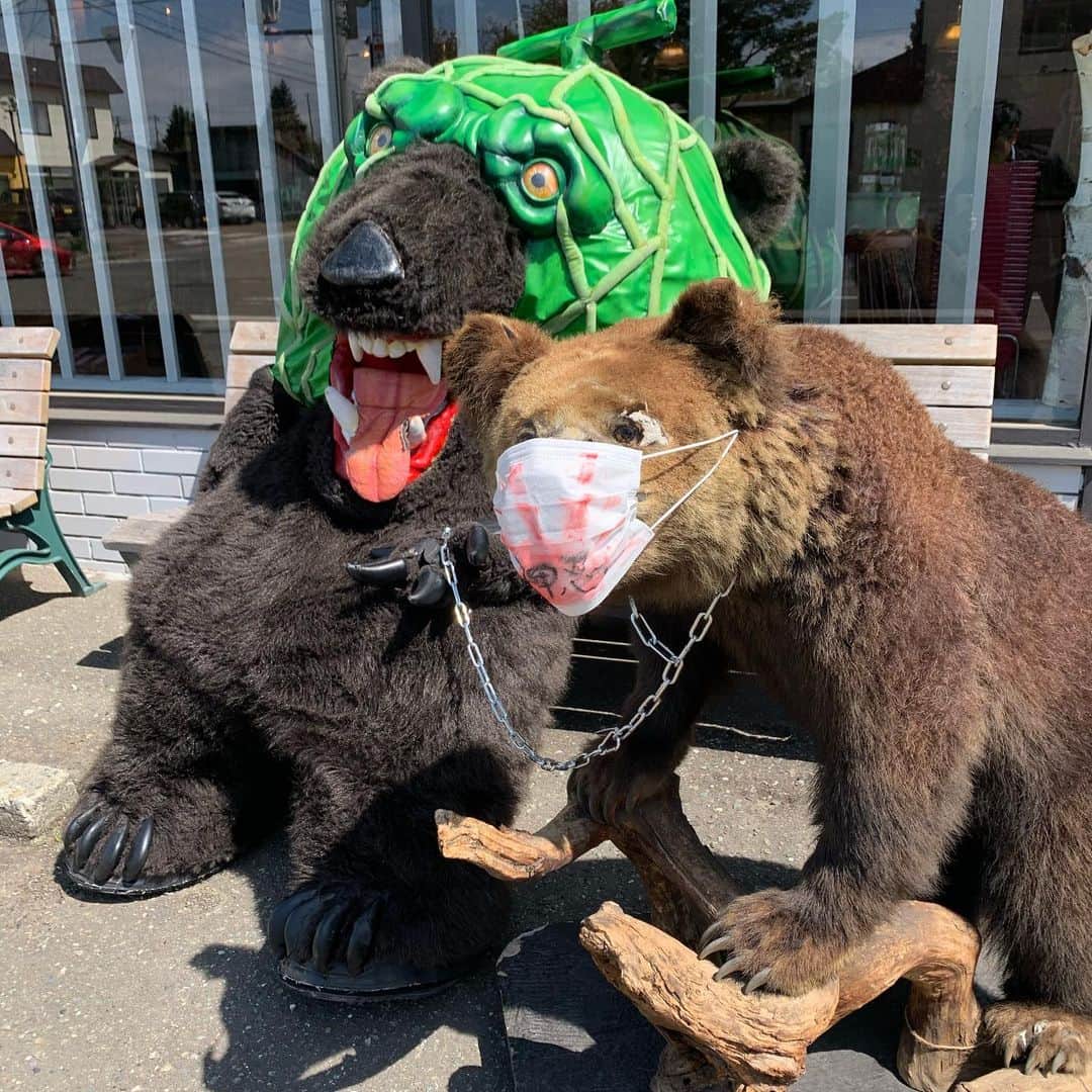 メロン熊【公式】のインスタグラム：「今日は気合入れました  #押忍 #ひぐま #メロン熊  #メロン熊の家 #夕張  #北海道 #マスク #首輪しました #安心してください」