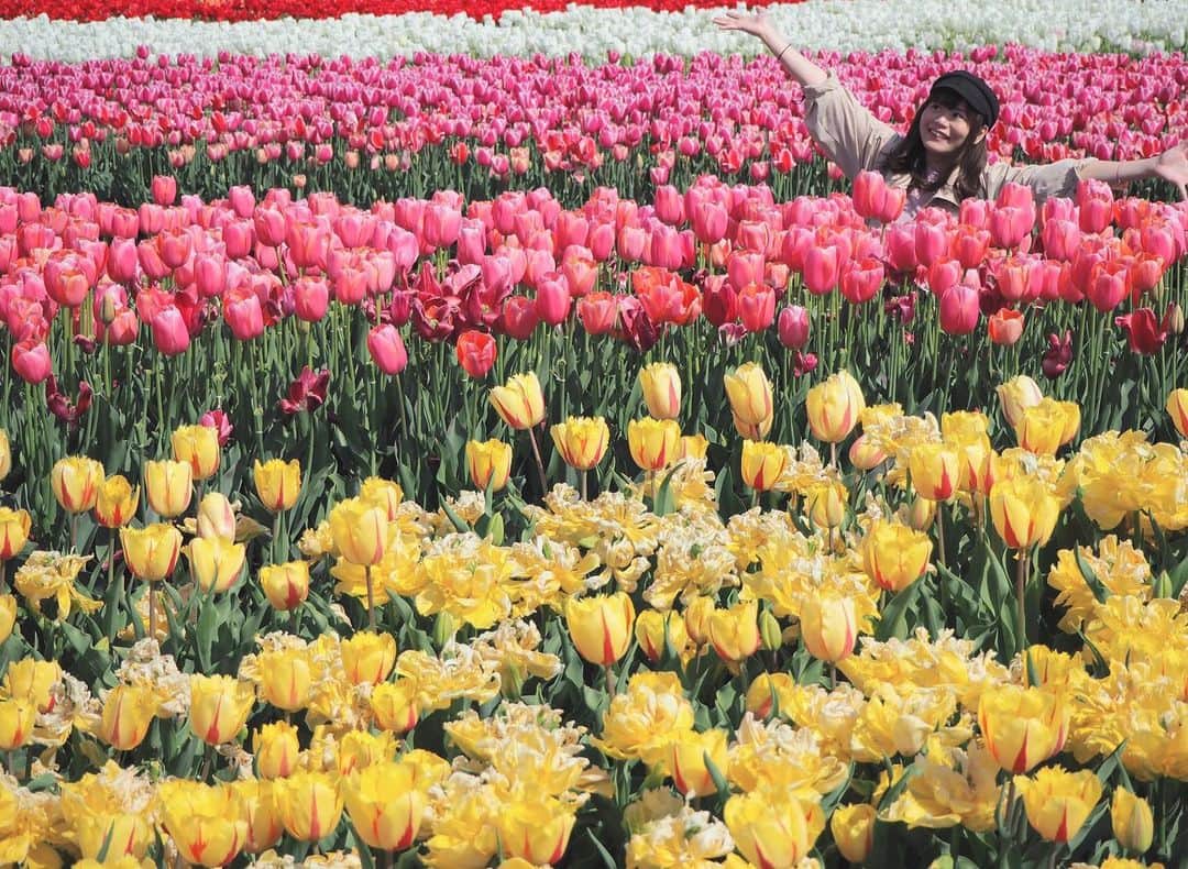 竹尾歩美のインスタグラム：「チューリップに囲まれて🌷 約1年前の写真。懐かしいな〜😊お花大好きだから、季節の花を見て感じるのいいなぁって思う。今はまだだけど….いつかお出かけしていろんなところの風景と一緒に写真を撮りたいな！！📷 やりたいこといっぱい。 それが出来るように。 頑張るんだ。 . #花畑#チューリップ#好きなもの#カメラ女子#olympuspenepl8#尾美」