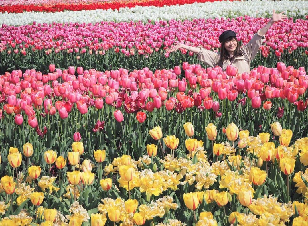 竹尾歩美さんのインスタグラム写真 - (竹尾歩美Instagram)「チューリップに囲まれて🌷 約1年前の写真。懐かしいな〜😊お花大好きだから、季節の花を見て感じるのいいなぁって思う。今はまだだけど….いつかお出かけしていろんなところの風景と一緒に写真を撮りたいな！！📷 やりたいこといっぱい。 それが出来るように。 頑張るんだ。 . #花畑#チューリップ#好きなもの#カメラ女子#olympuspenepl8#尾美」5月19日 23時25分 - ayumitakeo_4719