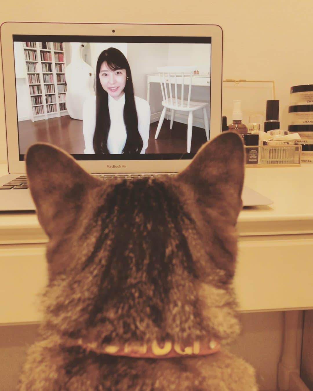 新倉瞳のインスタグラム