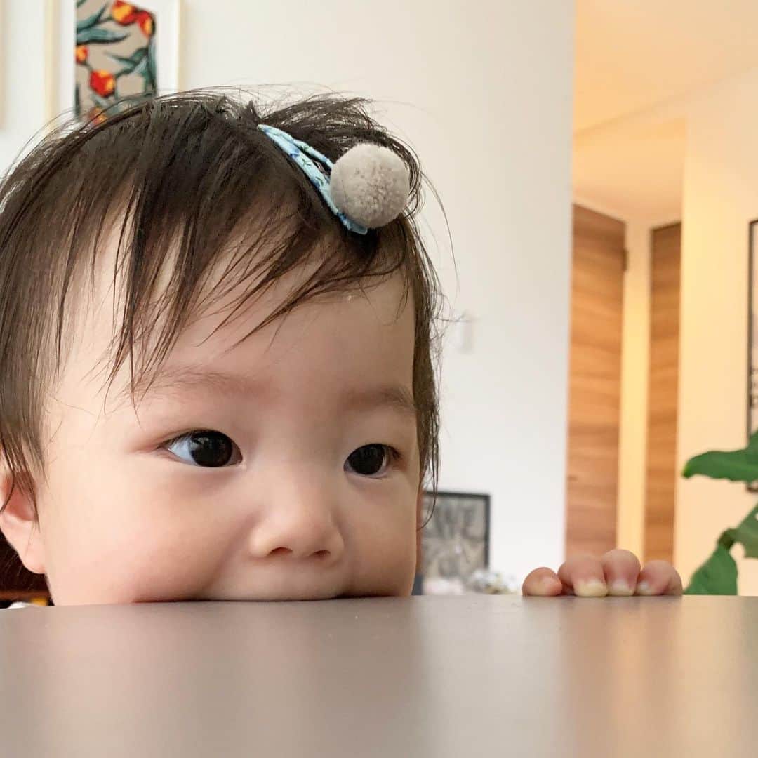 濱中鮎子のインスタグラム：「ついに、寝かしつけに苦戦し出した！  寝るかなと思うと、バネみたいに跳ね返り起きるので、思わず笑ってしまう。 そして物すごい力！！！ いよいよ、19時の就寝は終わりかなぁ〜。 #お嬢のおやすみ問題 #これまでが難なく行きすぎたんだ #負けないよ母さん  #ピンがすごいことなってるね #好きな食べ物はテーブルです」