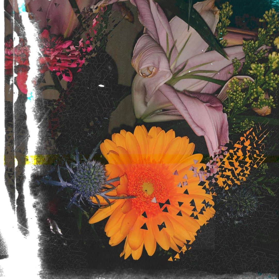 MAINA（小川舞奈）さんのインスタグラム写真 - (MAINA（小川舞奈）Instagram)「傍に。 . . #flowers」5月20日 0時28分 - ssfwmaina
