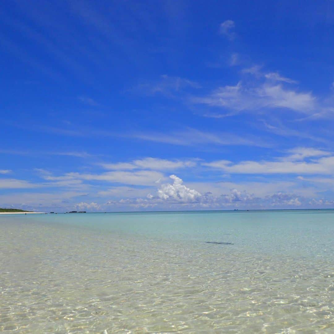 大阪ウシ子のグルメインスタ