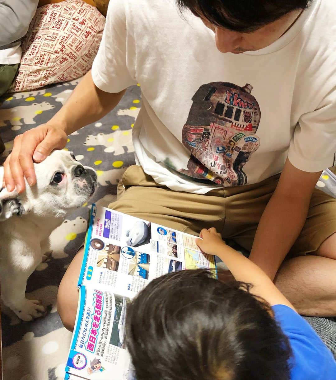 進藤やす子さんのインスタグラム写真 - (進藤やす子Instagram)「✳︎ 最近のふうちゃん🐼ダイジェスト . 1枚目、撫でてアピール可愛い〜🥰 . . #ふうこ日記 #ふうちゃん🐼 #ふがれす卒業生 #保護犬出身 #元保護犬 #フレンチブルドッグ #フレンチブルドッグパイド #はるちゃんふうちゃん👶🐼」5月19日 15時37分 - yasukoshindo