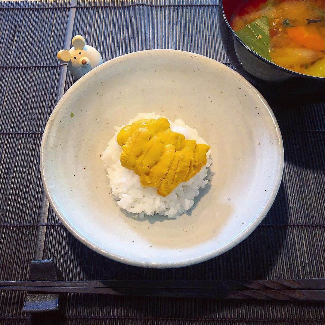 榊山敬代のインスタグラム：「🍚🙏✨… ・ 今日のランチは いただきました  雲丹さまさまの巻  土鍋の炊きたて白米へ 雲丹をそっと到着して 生醤油をスーと垂らし  大変美味しゅうございました  ツヤツヤ白米とまろやかな雲丹と 生醤油のハーモニーは最高コンビ  海の恵みにありがとうのとき  #また食べたい  さてきょうの午前は  10時から突然12時になっていて 11時が飛んだような時間感覚で  不思議な時計事件 ・ ⏰🤔… ・ 正しくは調べものに夢中だったの ですけれども調べていた世界観の 背景やストーリーを知った午前中 すごいなぁ〜とただただ興味深く  何事も意味をもって構築したいな とあらためると共に新たな挑戦へ  只今準備中のとき  なんとなくのビジョンは 観えてるのだけどカタチ にするのが難関そうなり  アタマでかんがえないで きもちでひらめきたい時 ・ ・ 🧠🌏💫… ・ ・ ところで明日は  新たなzoom会議に参加させていただく のですけれどアタマ切りかえて参加の時 ・ ・ 💻👤💬… ・ ・ #おうち時間 たのしもう週間 #おうち大好き #stayhome ・ ・ #頂き物#御馳走 #うに #雲丹 #sea​​urchin #海の恵み #ごちそうさまでした #白米 #おうちランチ  #ランチ #lunch  #おうちごはん #和食 #お味噌汁 #food #土鍋ごはん　#信楽焼  #妹より #器 #うつわ #food#seafood #artist #cooking #日本画家 の #お料理こんなもん  #コロナウイルスが早く終息しますように」