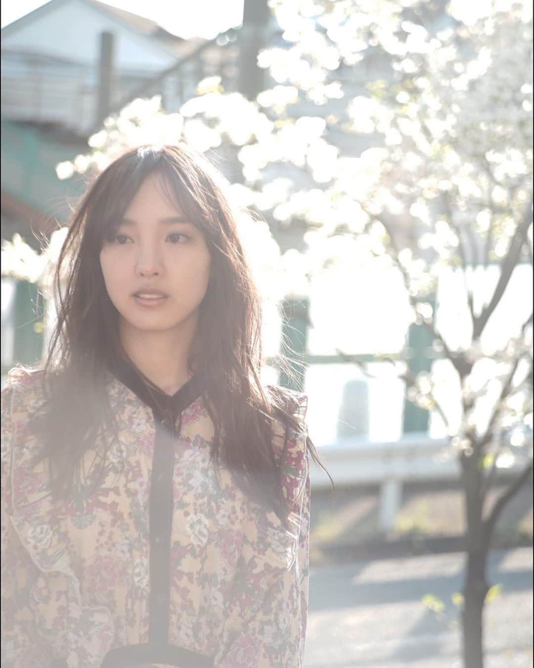 飯窪春菜のインスタグラム：「🌫🌫🌫 ・ ・ この撮影の時はまだ少し肌寒くて、早く春にならないかなー💭 って思っていたけれど、お家で長く過ごしていたから気づけばもう夏が来そう😮 来年の春は春を感じられますように🌼 ・ ・ ・ #作品撮り  @taros_photo_  @shota_superbly  @kisa_superbly  #はるなの毎日  #飯窪ってる」