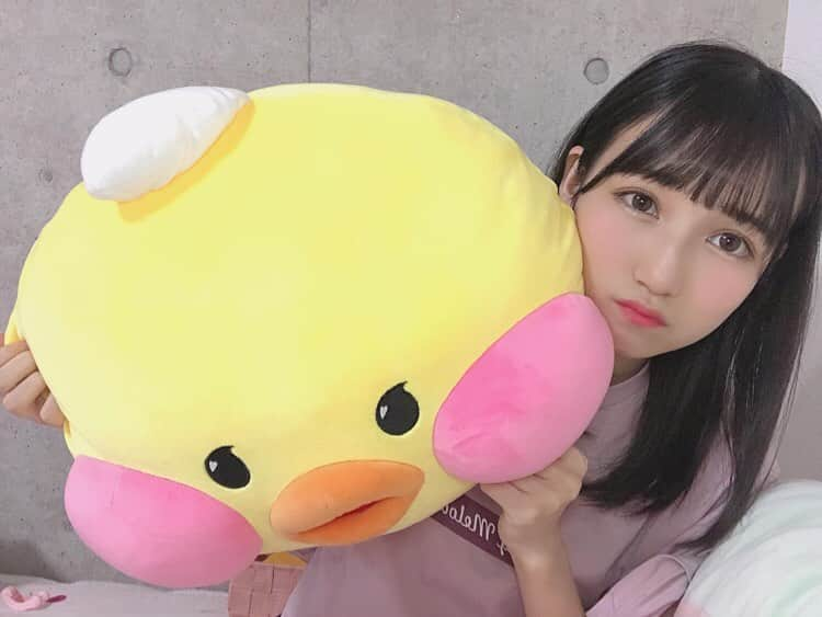 今村麻莉愛のインスタグラム：「. 最近のまりあのお友達です🐤 ・ 一緒に寝てあつ森も見守ってくれております😂✨」