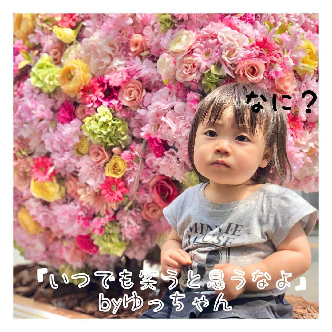 mamamizu.32のインスタグラム：「いつでも笑うと思うなよ ﻿ ﻿ ﻿ ﻿ ちょっと家から若干離れてはいるんだけど﻿ お散歩でサザエさん通りへ！﻿ サザエさんの銅像ではなく横の花をバックに﻿ 写真撮ったけど笑ってくれなかった🤣﻿ せっかく可愛いお花がバックなのに〜と﻿ 思いましたがこどもは空気よんでくれません💓😂﻿ でも空気読めすぎちゃう子役ちゃんとかって﻿ なんだかちょっと不自然だから やっぱりカメラむけても﻿無表情な 動物的かわいさがいいなぁと思う、﻿ 今日この頃でした🙇‍♀️﻿ ﻿ ﻿ ﻿ ﻿ ﻿ ﻿  #ベビライフ#ままべび#rainbowmamababy#スマイル育児#たまひよベストショット#親バカ部ig_baby#コノビー#ママカメラ#子育てぐらむ#ベビフル#コドモノ #fammカメラ部#ママリ#ママタス#ハピベビ#ままのて#uptoyoume#コドモノ代弁#イットママ#キズナ#コズレ#fammカメラ部#赤ちゃんのいる生活#赤ちゃんのいる暮らし#赤ちゃんとの暮らし#1歳#女の子ママ#東京ママ」