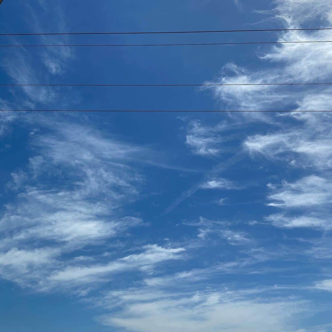 のインスタグラム：「なんだか涼しそうな雲  この形の雲は雲界の中では 一番高い位置に浮かぶとされているみたいです 糸くずが絡み合ったかのように不規則な形をしてることから 「もつれ雲」と呼ばれているみたい  上空の風が弱い時にできやすい雲なんだって  みんなが見てる空にもあるかな☁️ ・ #上大迫は空の写真撮りがち #空はいろんな顔を見せてくれる #昨日まで雨だったけど #今日は青空 #空が好き #空 #青空 #雲 #空図鑑 #雲図鑑 #もつれ雲 #巻雲 #別名 #すじぐも #sky #bluesky #blue #skylovers #cloud #picture #pic #photo #iphone #l4l #followｍe #follow #instagood #instalike #instapic #instagram」