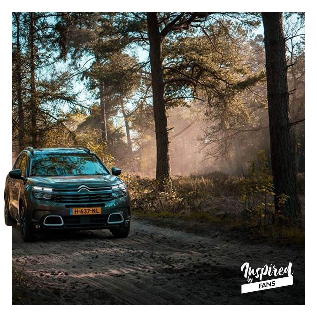 のインスタグラム：「Citroën C5 Aircross SUV 外出先でも自宅のようなくつろぎを⚡🌲 @carrepublicさん、素敵な投稿をありがとうございます！ #Withyou #StaySafeStayHome #InspiredbyFans」
