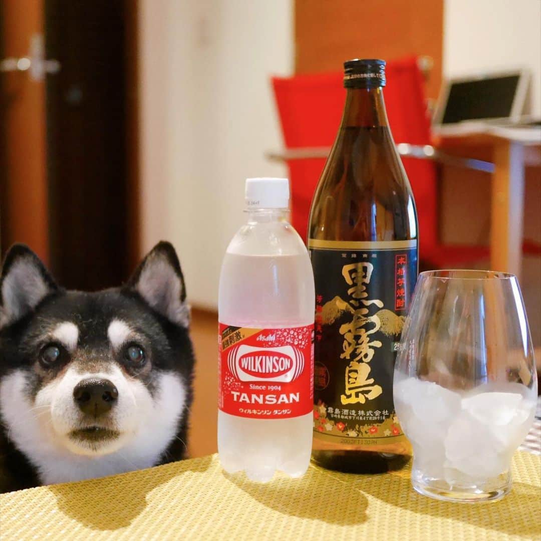くろのインスタグラム