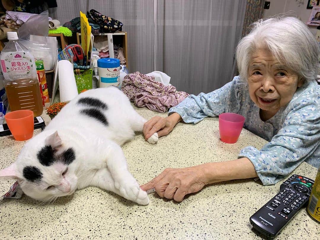 Kachimo Yoshimatsuさんのインスタグラム写真 - (Kachimo YoshimatsuInstagram)「このこは、前足が大きいのよ！とバーバが力説。 #うちの猫ら #nanakuro #猫 #ねこ #cat #ネコ #catstagram #ネコ部 http://kachimo.exblog.jp」5月19日 22時13分 - kachimo