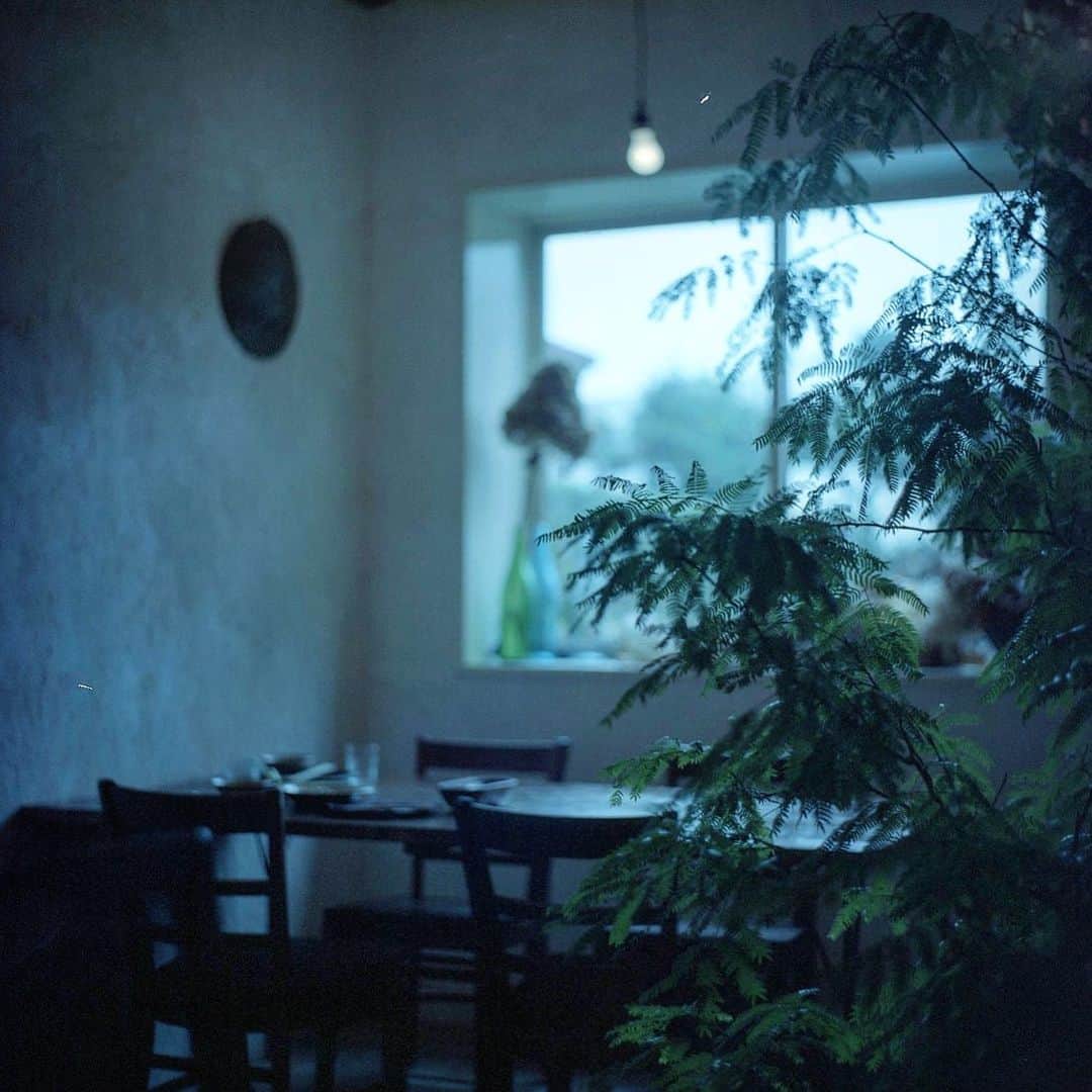 ゆうゆのグルメインスタ