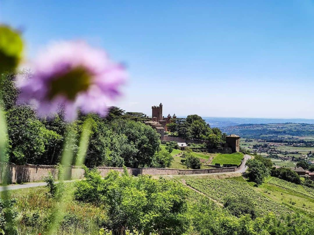 別府史之さんのインスタグラム写真 - (別府史之Instagram)「走り慣れたボジョレの丘 🇲🇫 #France #beaujolais #ChateaudeMontmelas #🍷 #🍇」5月19日 22時59分 - fumybeppu