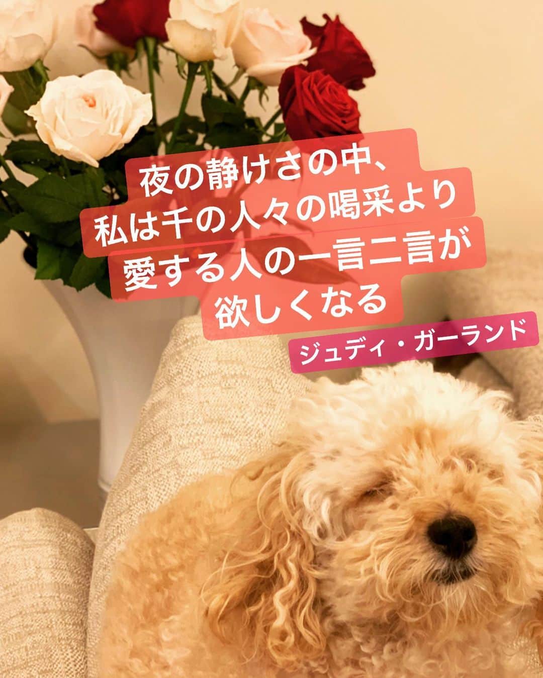 のインスタグラム：「#ジュディ・ガーランド　#アメリカの女優　 #素直な言葉… #ハートストリングス　#ニッポン放送　#川井郁子　#stayhome」