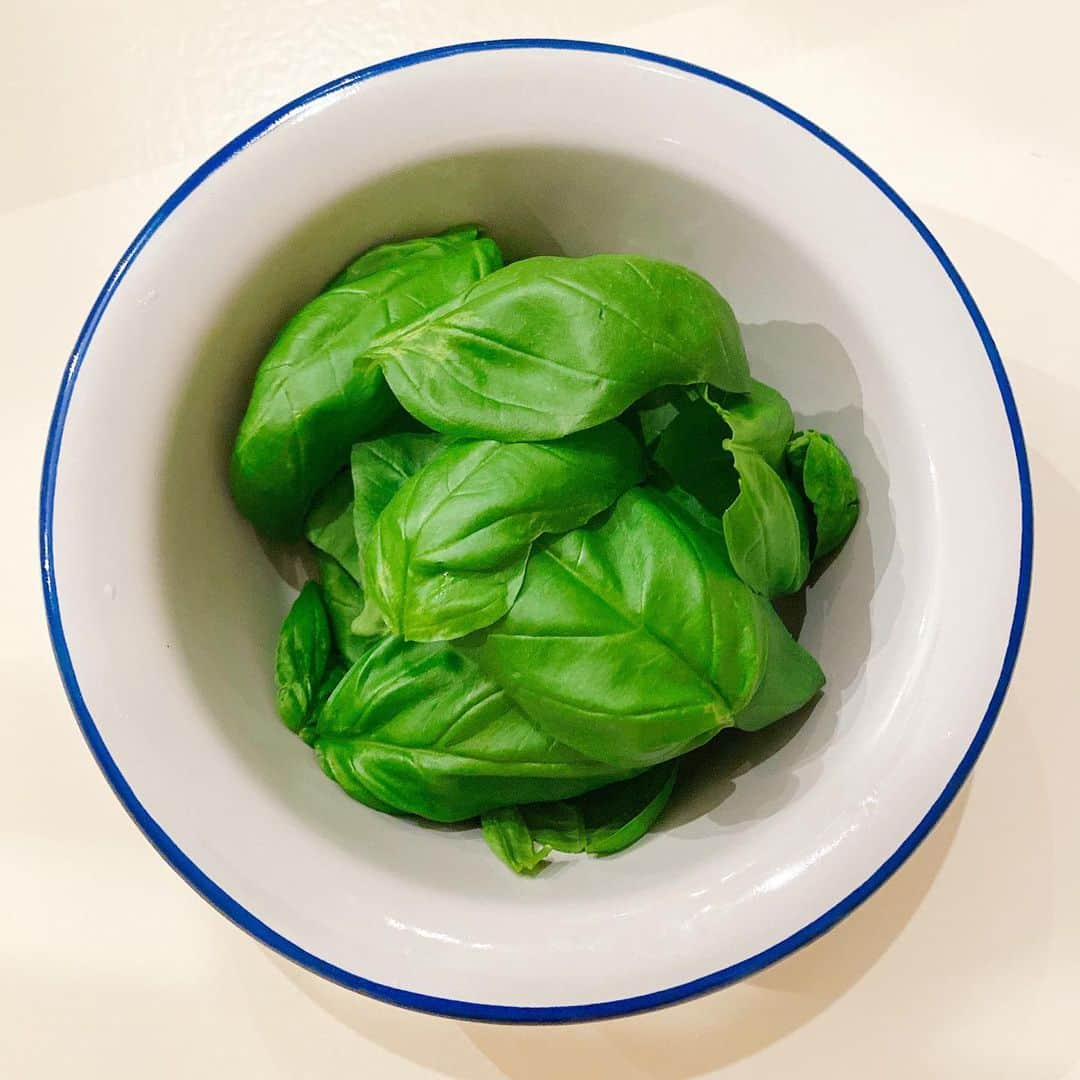 Sachiさんのインスタグラム写真 - (SachiInstagram)「毎日収穫祭 . #なくなっちゃう #時間の問題 #favorite#basil#green#Herb #myherb #sachiはお野菜が大好き  #sachiは食いしん坊 #sachiのbeautytime」5月20日 8時50分 - sattyyyyy