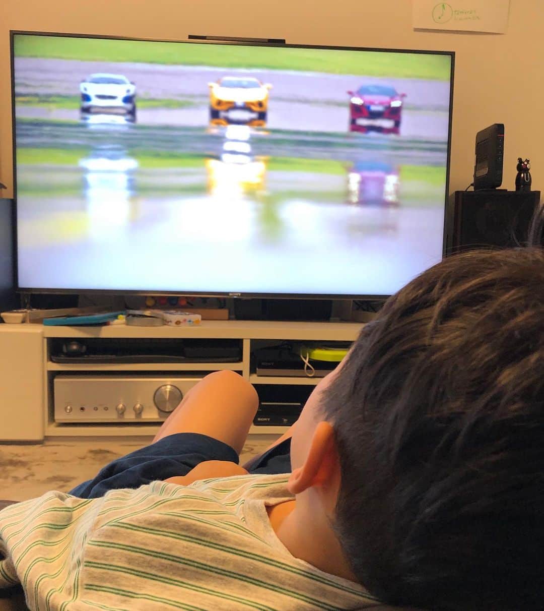のインスタグラム：「朝からお気に入りの車の番組を見てご満悦のこの方、本日６歳の誕生日。おめでとう！うちの子。じっくり成長してくれれ！ #amazonprime #grandtour #6yearsold  #birthday #stayhome #lamborghini #ferrari」
