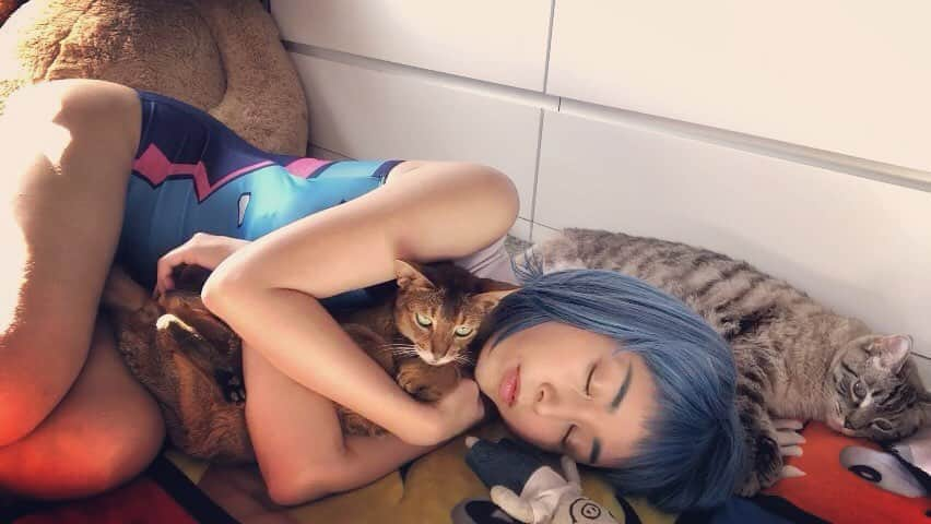 まりかさんのインスタグラム写真 - (まりかInstagram)「nap time❤️ #maricahase  #Tenn #Taro #Buusan #fancentro #mneeka #penthousepet #unikornis🦄  #cosplaygirl  #japanesegirl」5月20日 9時23分 - maricahase